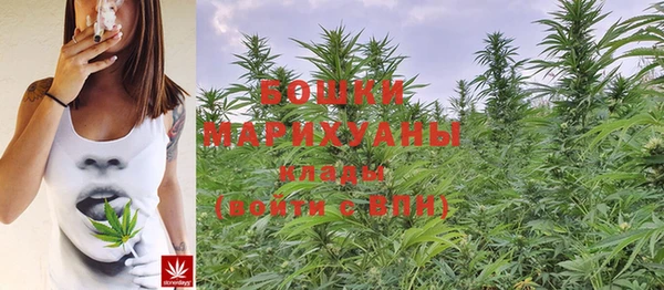 бошки Абинск