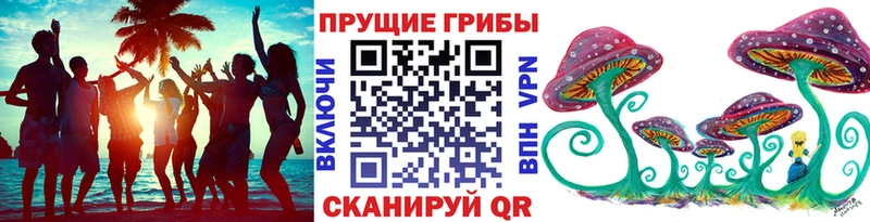 Псилоцибиновые грибы прущие грибы  где можно купить   Белоусово 
